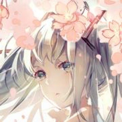 肖战五一vlog